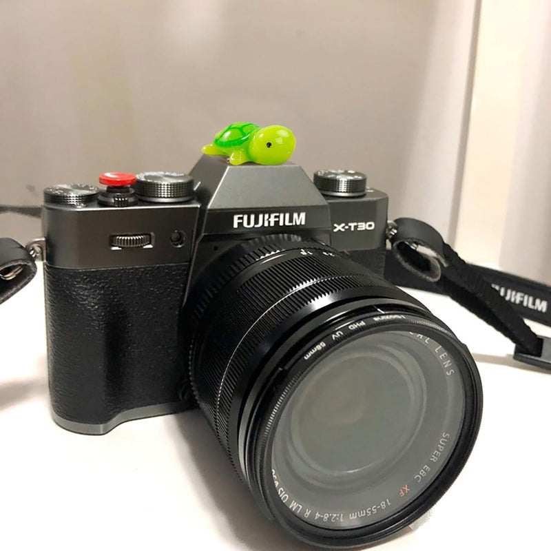 MENGSOOD Camera Hot Shoe Cover, Cute Hot Shoe Cap, Hot Shoe Protector Compatible with Sony Fujifilm Fuji Canon Nikon Pentax Leical Panasonic (2pcs Tortoise) - Image 4